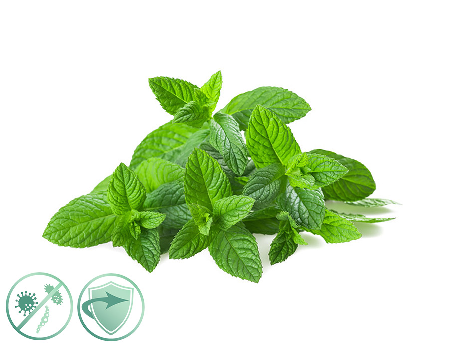 New Aroma Mint Fresh - dezinfekční aroma olej