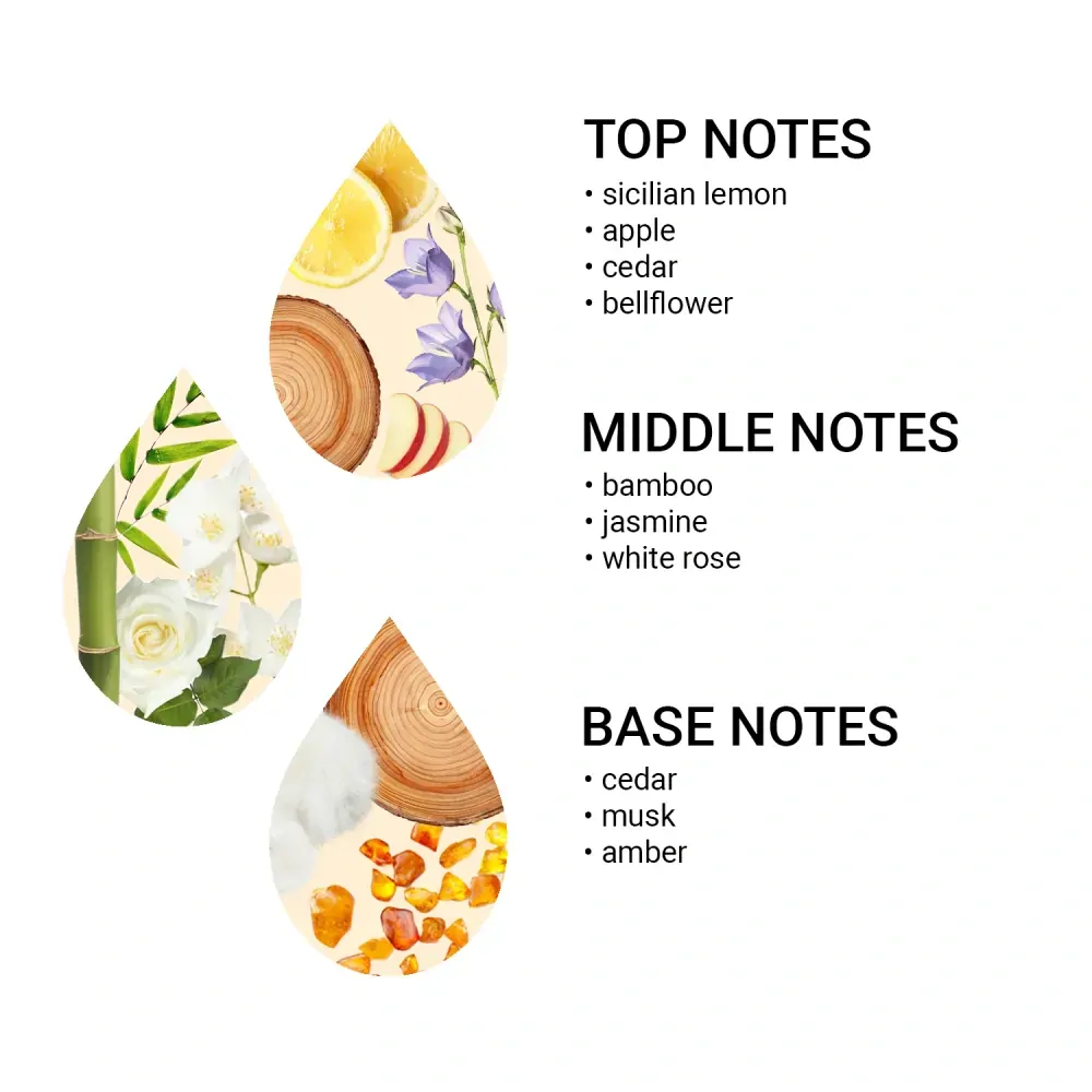 AlfaPureo Set náhradních náplní do difuzéru eDrive Light Blue