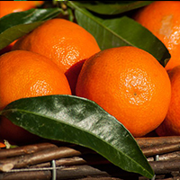 Alteya Mandarin mandarínkový olej 100% Bio 10 ml