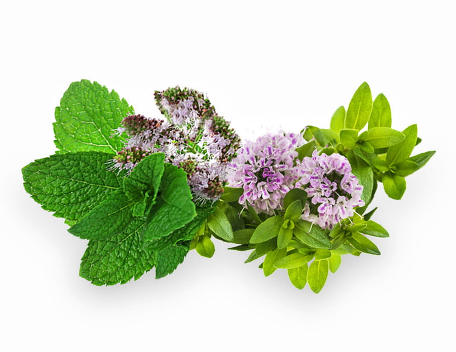 New Aroma Spiro Therapy s obsahem 100% přírodních silic