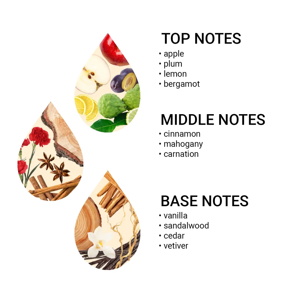 AlfaPureo Set náhradních náplní do difuzéru eDrive Silver Boss